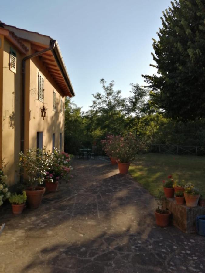 Mugello - Casa Di Campagna Bed and Breakfast Vicchio Exterior foto